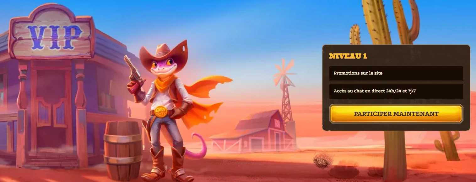 Programme de fidélité / VIP